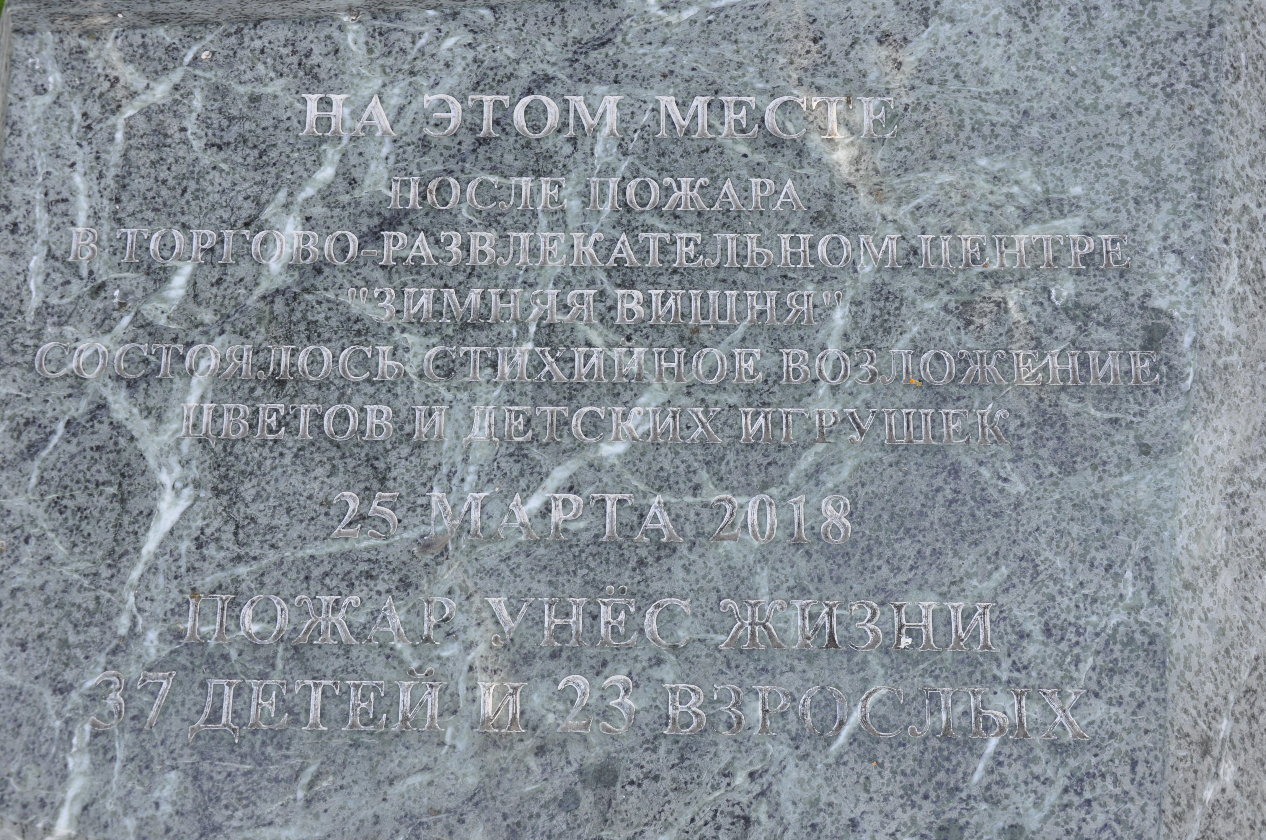 Студенты КемГИК Матвеева А. А., Мельникова С. Ю.